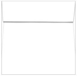 Fingerprint Card Envelopes, 250ct/pack