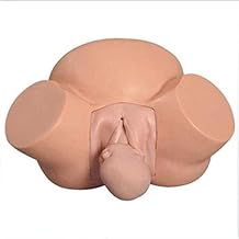 Birth Simulator Anatomy Manikin, Childbirth Demonstration Pelvis Model Obstetrics and Gynecology Delivery Maternity Manikin for Gynecology Teaching, Medical Fertility Education and Study