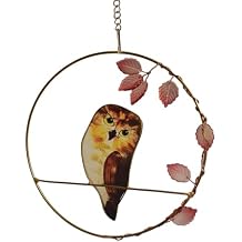 Cute Glass Owl Suncatcher Painting Birds Suncatcher for Windows Doors Room Home Decoration,Owl Glass Hanging Ornament Gifts for Bird Lovers