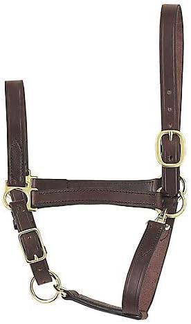 Perri's Economy Leather Halter, Havana