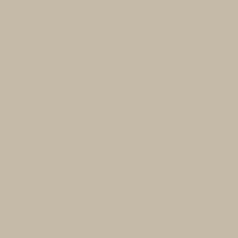LATICRETE Latasil High Performance Silicone Sealant, Light Pewter #90