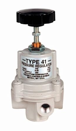 Bellofram 960-116-000 Air Pressure Regulators, 1/4" NPT(F), 0 to 10 psi