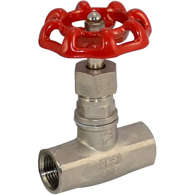 DAN SPEED SUS SS 316 Heavy Duty Globe Valve Stainless Steel CF8M NPT 12inch