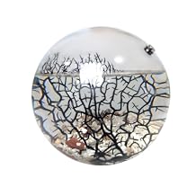 Glass Self Sustaining Shrimp Ecosphere Extra Large