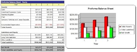 Classified Ads Website Business Plan - MS Word/Excel