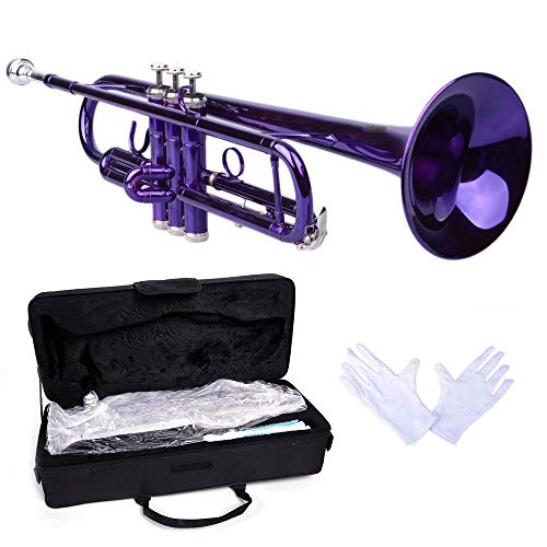 Brass Standard B Trumpet Instrument with Case,Gloves, for Student Beginner Purple