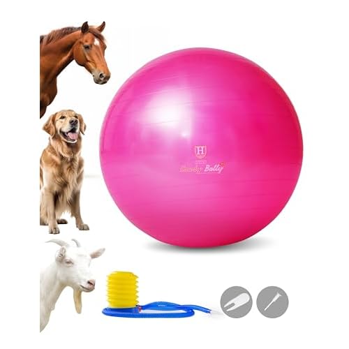 Harrison Howard Mega Horse Play Ball Anti-Burst Giant Soccer Ball 25 Inch - Magenta