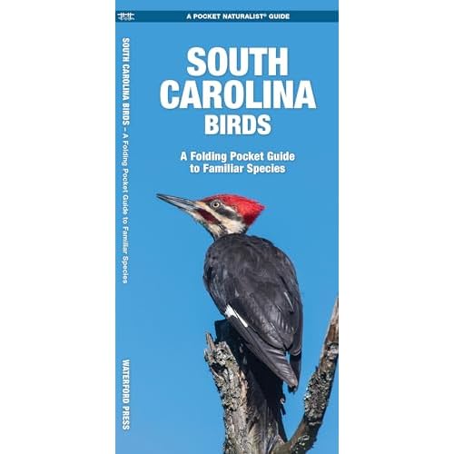 South Carolina Birds Nature Observation North America Pamphlet March 1, 2002