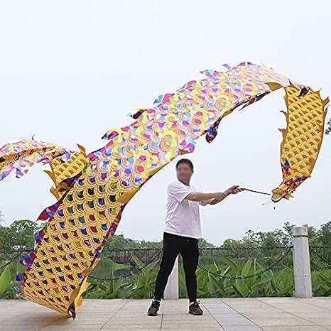 LIOONS 8m(26.2ft ) Dragon Dance 3D Colorful Chinese Silk Dragon Dance Double-Sided Lion Dance Outdoor Sports Dragon Fitness Ribbon