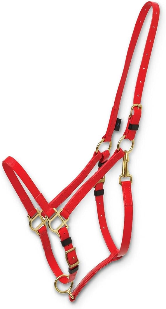 Deluxe Endurance Halter Arab/Full Red