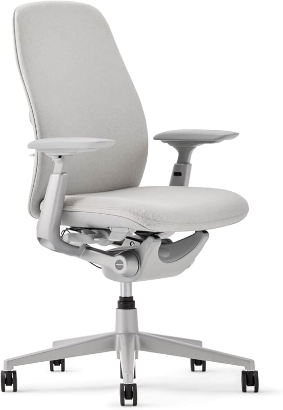 Haworth Zody Ergonomic Office Chair, Home Office Desk Chair, Fog