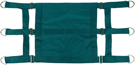 Gatsby Nylon Stall Guard w/Closed Center Turquoise