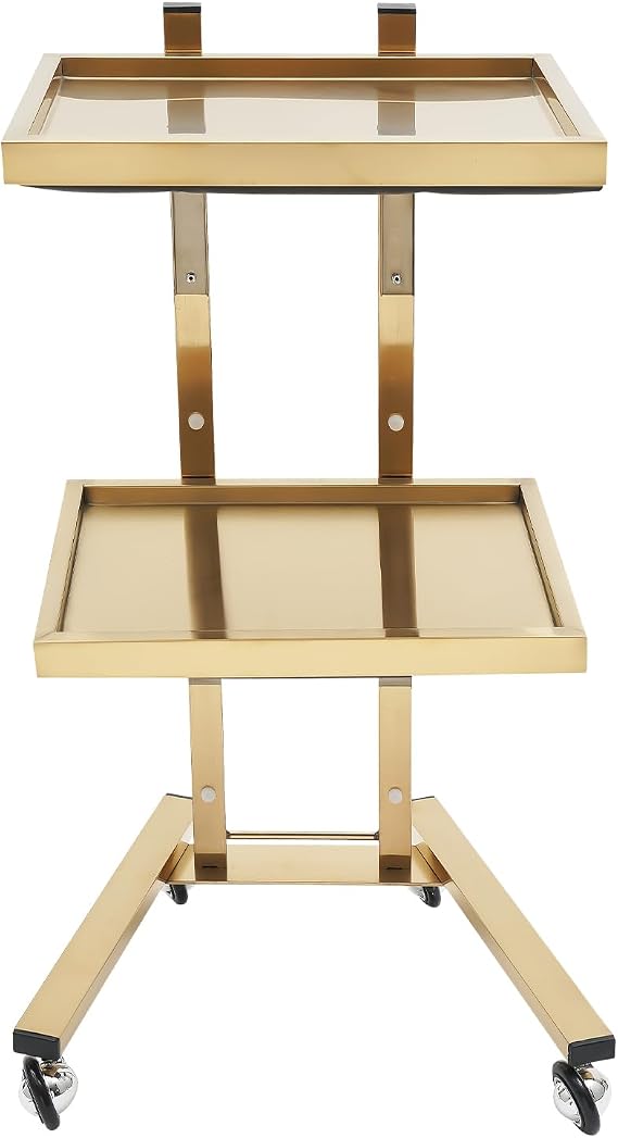 Cart Trolley Tray, Salon Tray Cart Premium 2-Tier Metal Rolling Cart Stainless Steel Tattoo Rolling Tray Instrument Salon Tray on Wheels or Hair Stylist Tray (Gold)