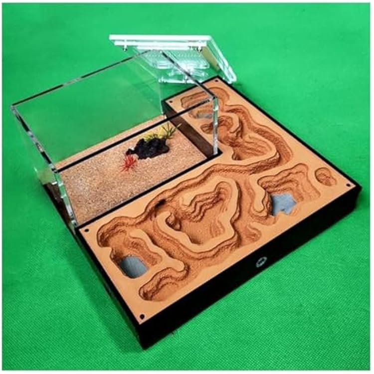 Ant Farm Classic Ant Farm Acrylic Plaster Castle Flat Hill Habitat Feeding Area Workshop Nest Science Learning Kit