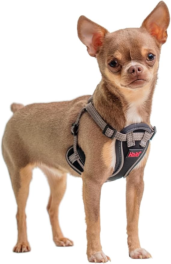 Halti Anatomy Puppy & Small Dog Harness - Soft & Comfortable Step-in Harness, 4 Adjustable Points, Lightweight & Reflective, for Miniature and Toy Dog Breeds (Size XXS, Grey)