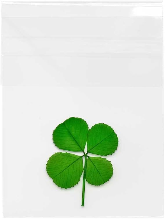 Four Leaf Clover Good Luck Charm for Wallet | Preserved Four Leaf Clover in a Clear Cello Sleeve