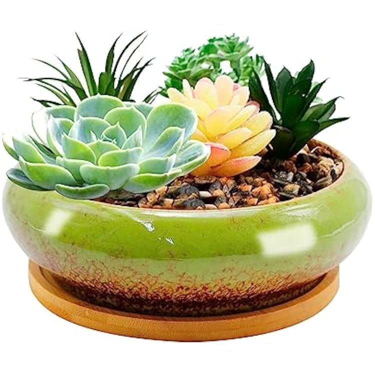 7.4 inch Ceramic Bonsai Pots with Trays Shallow Planters, Succulent Planters with Drainage Hole, Round Large Shallow Pots, Bonsai Pots Garden Decorative Cactus Stand Flower Container Green