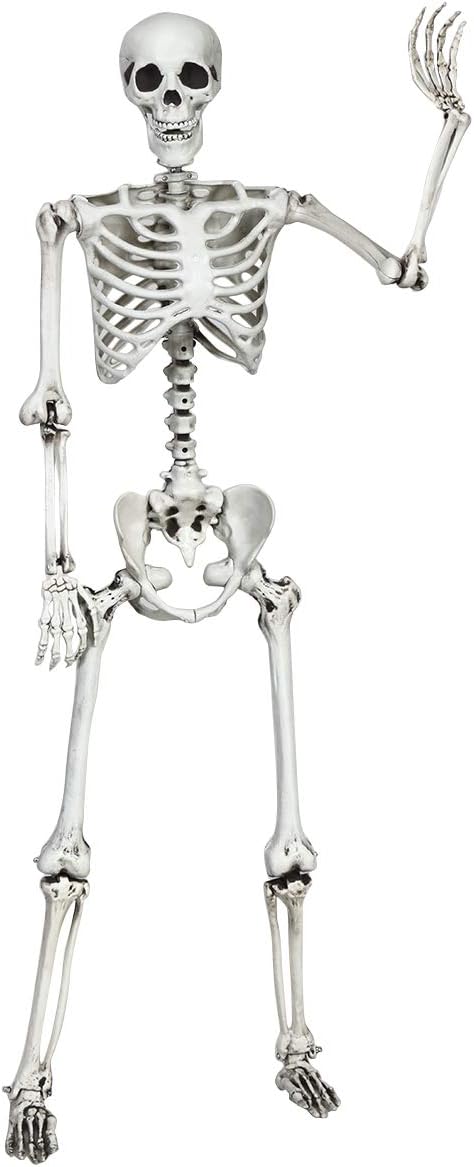 MEDIMALL 5.4 Ft Halloween Life Size Skeleton, Posable Skeleton Halloween Decoration with Realistic Full Body Bones & 7 Movable Joints, Plastic Hanging Skeleton Decoration for Haunted House, Party