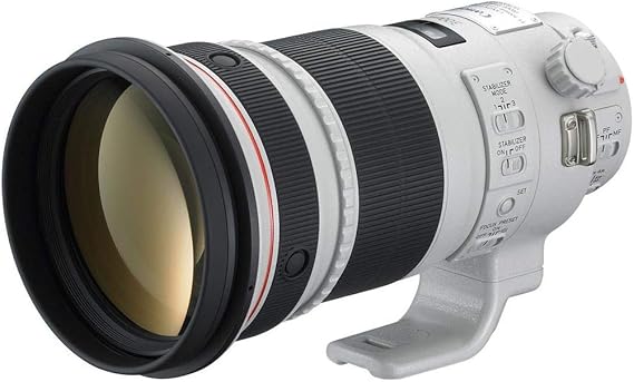 Canon 300mm F2.8 L is II USM EF Lens