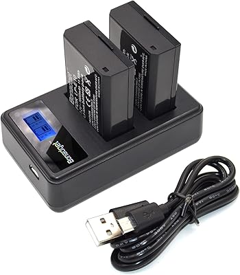 2Pack LP-E10 Battery and Charger for Canon Battery EOS Rebel T3 T5 T6 T7 T100 Kiss X50 X70 X80 X90 1100D 1200D 1300D 1500D 4000D for Canon Battery and Charger