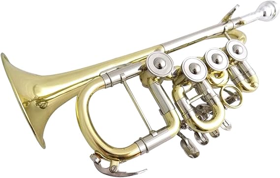 FLFL Student Trumpet Bb Rotary Trumpet B Flat with Extra Leadpipe Brass Piccolo Trumpets Musical Instruments Trompeta with Case Mouthpiece
