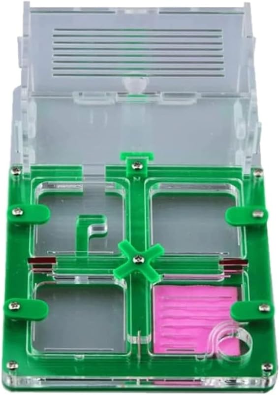 Ant Terrarium Acrylic Ant Farm DIY Family Study Ant Behavior Ant Castle Moisturizing Natural Eco Display Box FormicariumGreen