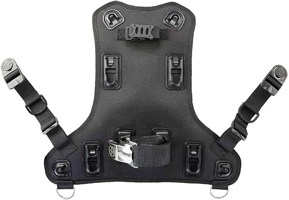 Aqualung Rogue Back Assembly - Black/Gray, Small