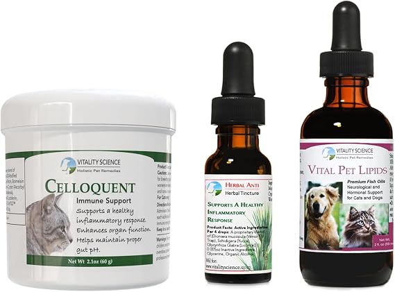 Vitality Science Advanced Immune Restoration Supplements for Cats | Intense Regeneration Protocol | Helps with Pain Relief (Small)