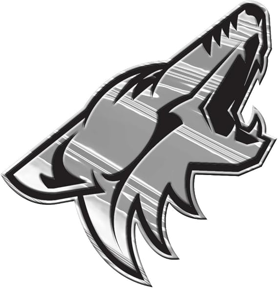 NHL Chrome Automobile Emblem