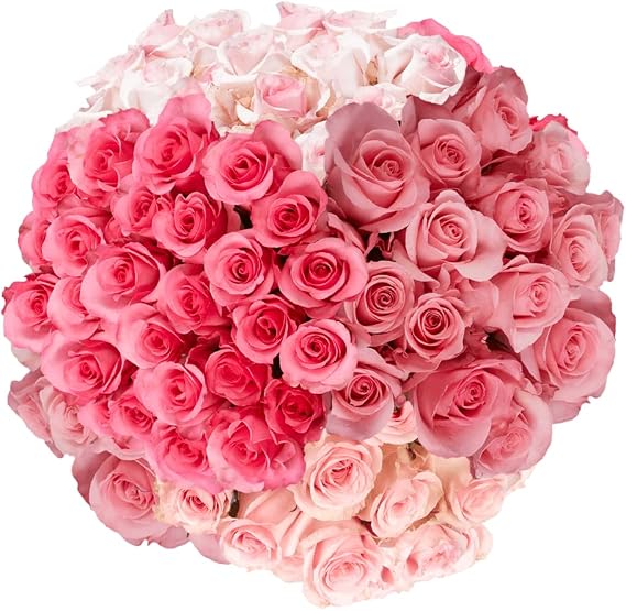 GlobalRose 100 Pink Roses Bouquet - Responsibly Sourced Roses Fresh Flowers - Hand-Picked Flowers Fresh Bouquet for Graduation, Anniversary, Birthday & Special Occasions (4 Bunches of 25 Stems)