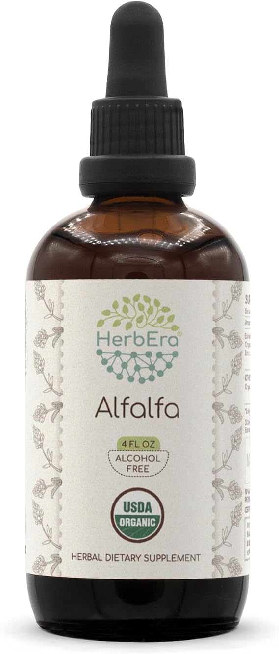HerbEra Alfalfa B120 USDA Organic Tincture | Alcohol-Free Extract, High-Potency Herbal Drops | Certified Organic Alfalfa Dried Leaf (4 oz)