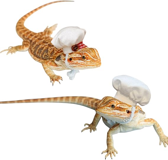 2 Pack Bearded Dragon Chef Hats Small Animal Cotton Cooking Chef Cap