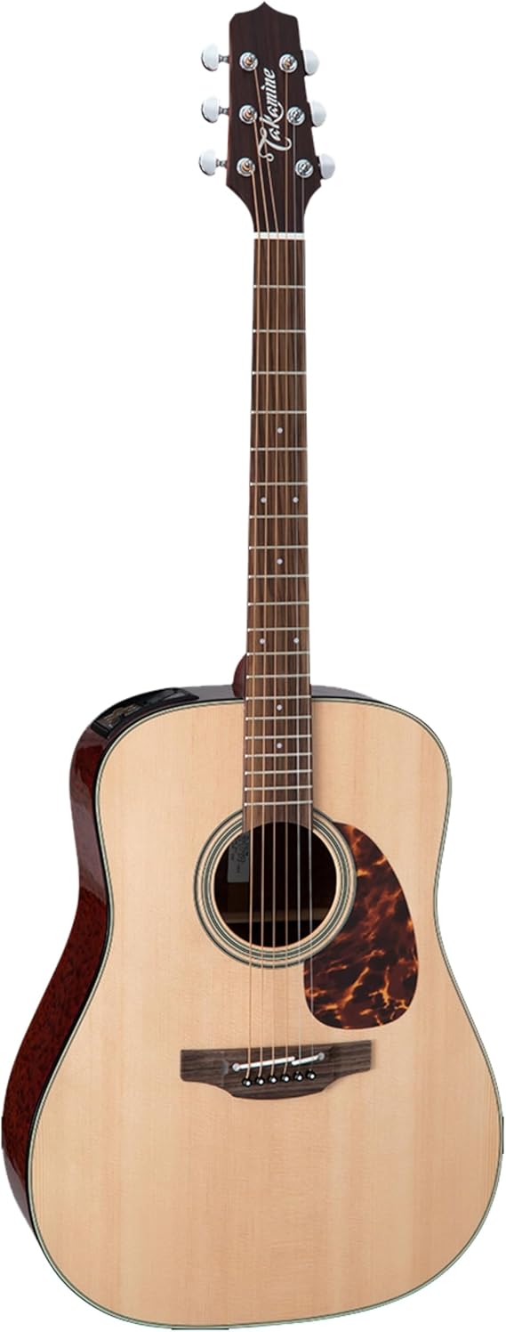 Takamine FT3450BS Acoustic-electric Guitar - Natural