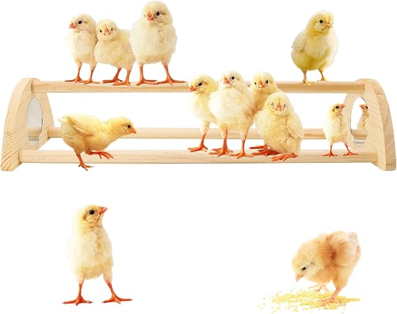Chicken Perch with Mirror Roosting Barfor Baby Chicks