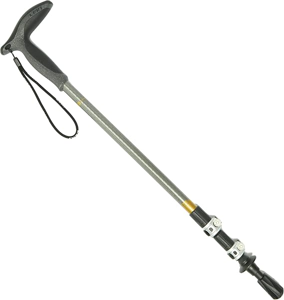 LEKI Wanderfreund Speedlock Trekking Pole