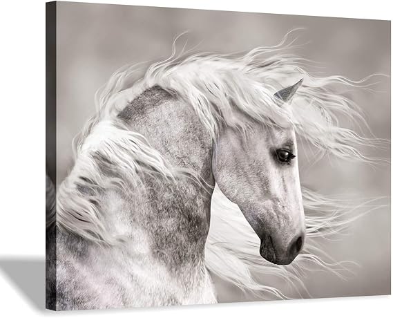 Hardy Gallery Horse Canvas Wall Art Equestrian Decor 16x12 Inch