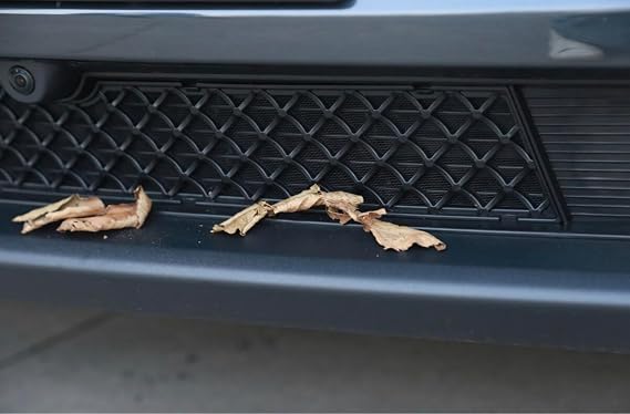 Model Y Juniper 2025+ Ön Tampon Radyatör Koruyucu Premium Dizayn