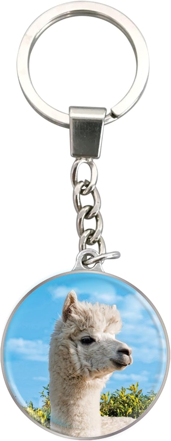 Deluxebase Magnidome Keychain from Dome Shaped Picture Key Ring with Stainless Steel Chain. Crystal Glass Dome Key Chain