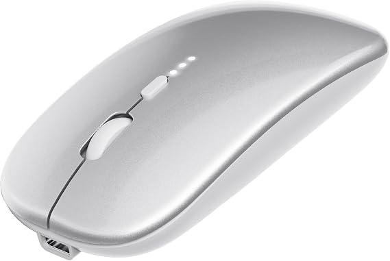 ShuGuoTu Wireless Mouse, 2.4G Slim Mute Silent Click Noiseless Optical Mouse with USB Receiver and Type C Adapter Compatible with Notebook, PC, Laptop, Computer, MacBook (Silver)