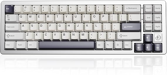 YUNZII AL71 75% Mechanical Keyboard, Full Aluminum CNC, Hot Swappable Gasket, 2.4GHz Wireless BT5.0/USB-C Wired Gaming Keyboard,NKRO Programmable RGB Backlight,for Win/Mac(Silver,Silent Switch)