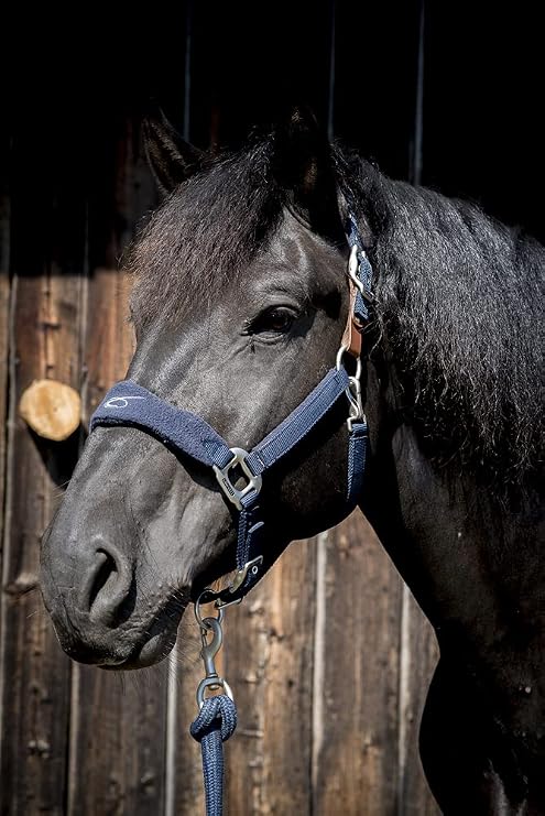 Lami-Cell Fleece Polypropylene Halter