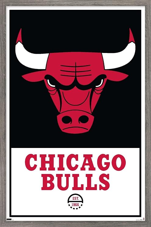 Trends International NBA Chicago Bulls - Logo 21 Wall Poster, 14.725" x 22.375", Barnwood Framed Version