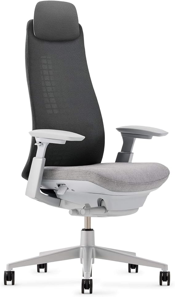 Haworth Fern Executive Office Chair, Home Office Desk Chair, River Rock
