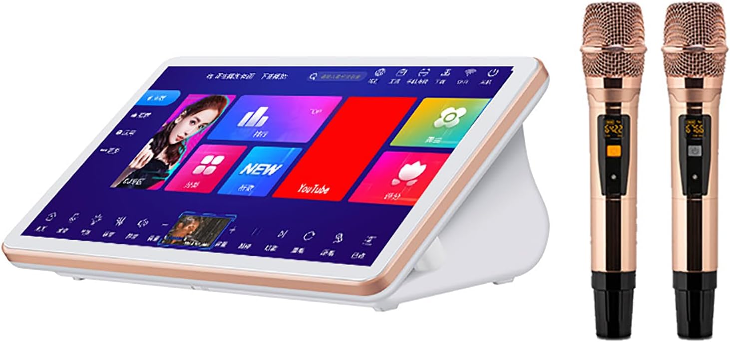 18.5 Karaoke System, Capacitive Touch Screen Karaoke Machine with Power Amplifier Function and DSP Reverberation Microphone, Premium Sound Effects and 4T Storage, for Family Bar Parties
