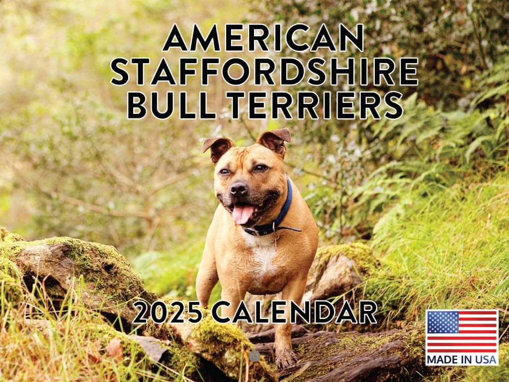 American Staffordshire Bull Terrier Calendar 2025 Monthly Wall Calender | American Made In The USA