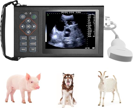 A20 Veterinary Ultrasound Machine+3.5 Mhz Convex Probe