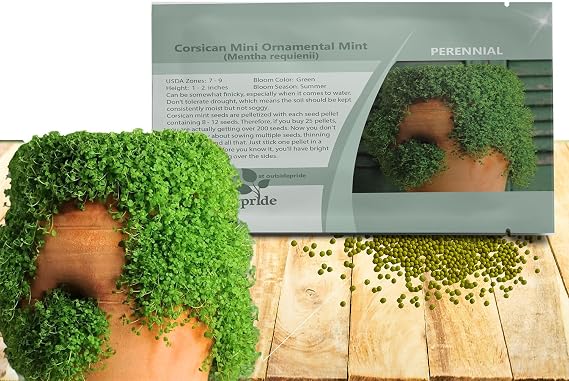 Outsidepride Mentha Corsican Mini Mint Seeds for Planting - 25 Pcs Pellets Perennial Drought-Tolerant Creeping Ground Cover Seeds for Lush, Aromatic Gardens, Ideal for Low-Maintenance Landscaping