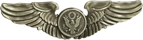 EagleEmblems P16064 Wing-USAF, Aircrew, Basic (3'')