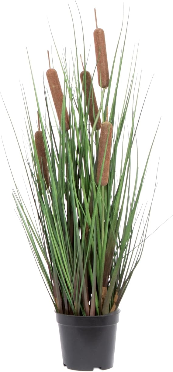 Vickerman 24" Everyday Artificial Potted Green Straight Grass and Cattails with Black Plastic Pot - Faux Grass Plant Decor - Home Or Office Indoor Greenery Accent