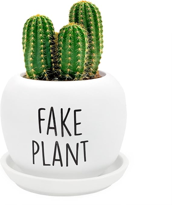Esterno Fake Plant Planter Pot; Small Resin Decorative Container for Indoor/Outdoor Container Gardening